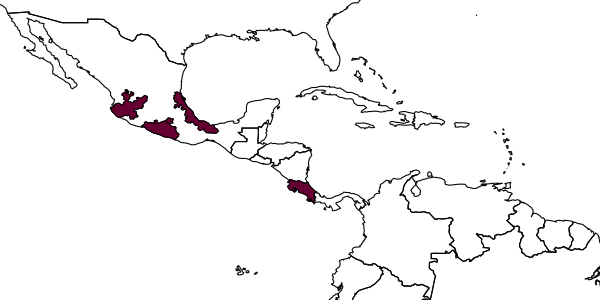 map of Alabagrus nahuatl     Sharkey, 1988